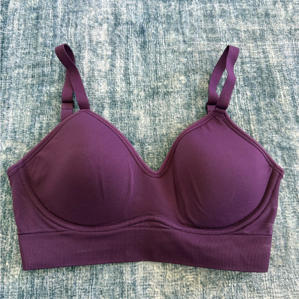 Paragon Purple Sports Bra